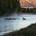 Crossing the River
